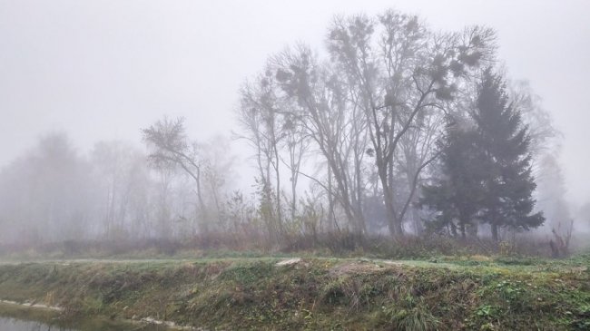 Моторошний луцький парк у полоні туману. ФОТО