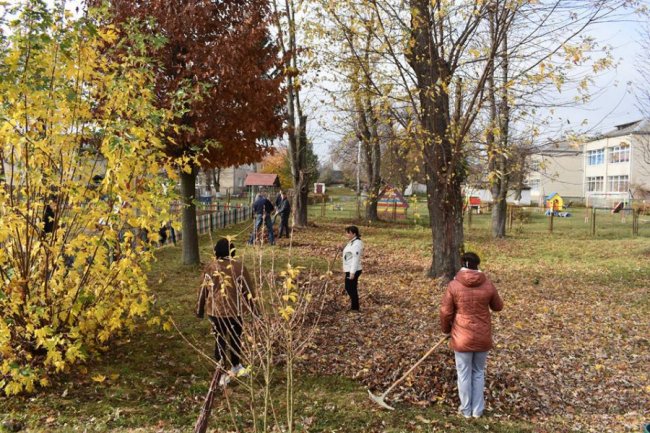 У волинському селищі влаштували осінню толоку. ФОТО