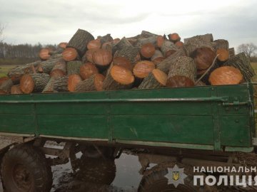 У Ковельському районі правоохоронці вилучили незаконну деревину