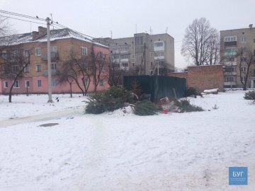 У Нововолинську ігнорують пункт прийому ялинок, дерева викидають просто у смітники. ФОТО