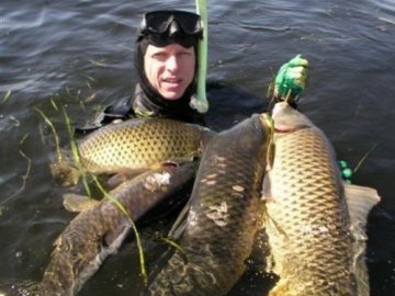 На Рівненщині хочуть заборонити підводне полювання на рибу для луцьких ресторанів 