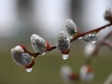 Погода в Луцьку та Волинській області на вихідні, 5 і 6  березня