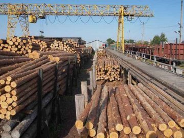 У Раді підтримали волинських депутатів щодо мораторію на експорт лісу