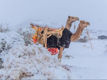 У пустелі Сахара випав сніг. ФОТО
