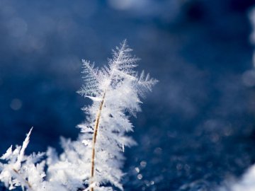 Погода в Луцьку та Волинській області на четвер, 3 грудня
