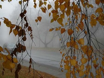 Погода в Луцьку та Волинській області на четвер, 19 листопада