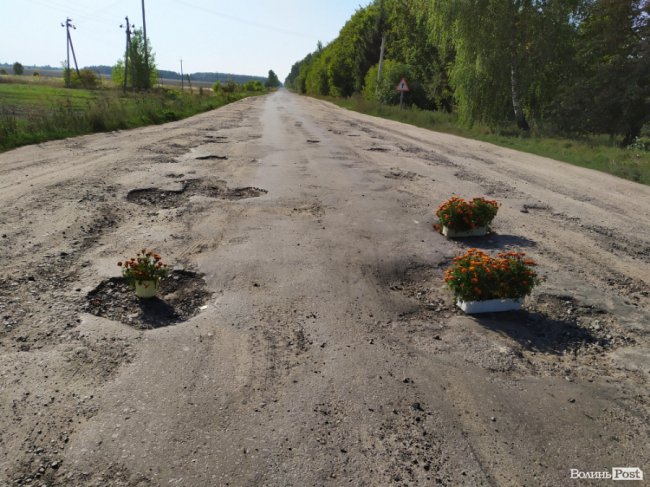 «Може, хоч так побачать»: ями на розбитій дорозі волиняни засадили квітами. ФОТО