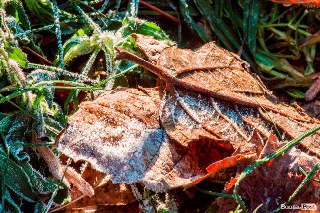 Луцьк в останній осінній день. ФОТОРЕПОРТАЖ