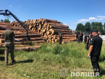 На Камінь-Каширщині – масштабні обшуки: вилучили сотні кубів незаконної деревини. ФОТО