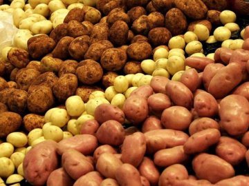 Від і до: скільки на луцькому ринку просять за кілограм картоплі