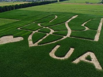 В Україні створили найбільший тризуб з кукурудзи: його видно навіть з літаків. ВІДЕО
