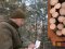 Майже 50 волинян покарають за вирубку новорічних дерев