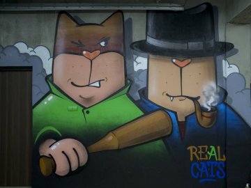 У луцькому гаражі з’явилися величезні графіті з котами-розбійниками. ФОТО