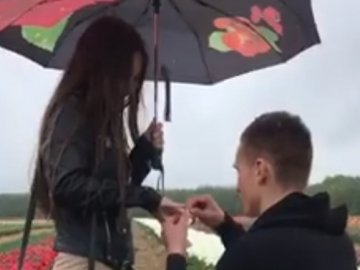 Освідчення у Волинській Голландії: чоловік зробив пропозицію серед тисяч тюльпанів. ВІДЕО