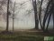 Стеляться тумани: осінній ранок у Луцьку