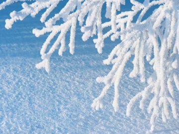 Скільки градусів морозу прогнозує синоптик завтра, 2 лютого, на Волині