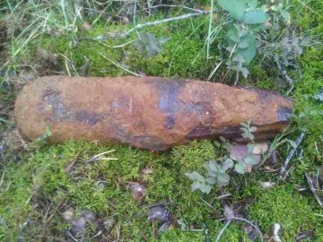 Волиняни, які пішли в ліс по гриби, знайшли снаряди