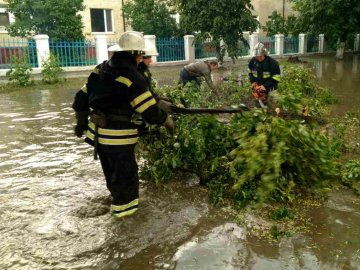Негода в Україні: загибель дівчини, повалені дерева, села без світла
