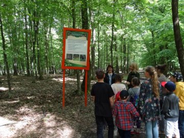 Ківерцівським школярам розповіли про життя лісу