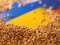 Домовленість про експорт зерна з України підпишуть у Стамбулі завтра, 22 липня