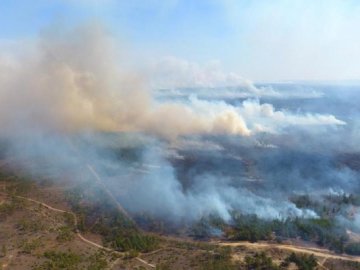 Показали наслідки лісових пожеж на Рівненщині з висоти пташиного польоту. ВІДЕО