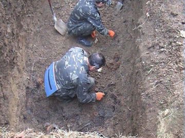 На Волині розкопуватимуть поховання  періоду  Першої світової війни