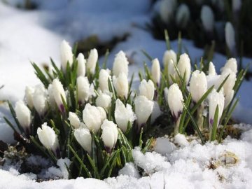 Погода в Луцьку та Волинській області на суботу, 20 березня