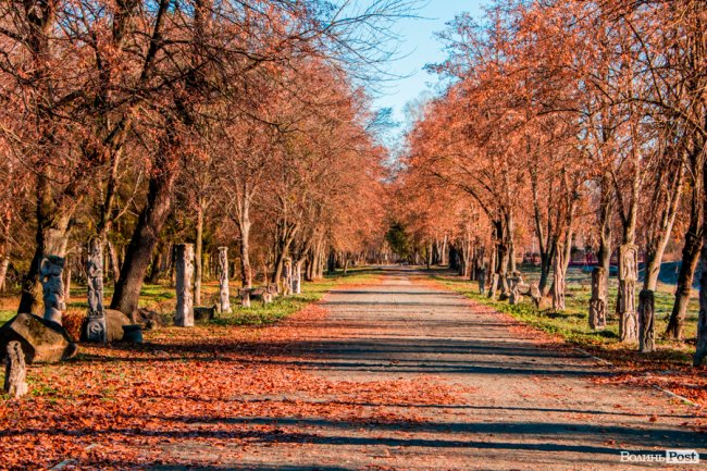 Луцьк в останній осінній день. ФОТОРЕПОРТАЖ