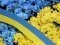 Квітковий прапор України претендуватиме на рекорд Гіннеса