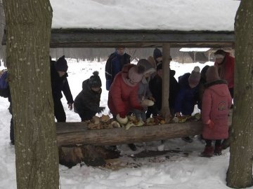 Луцькі школярі у лісі підгодовували диких тварин та смакували куліш. ВІДЕО