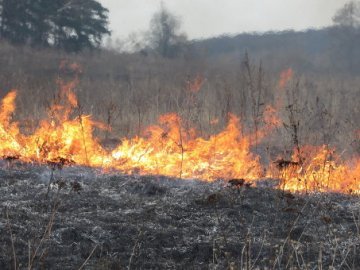 Через спалювання трави на Волині загорівся склад