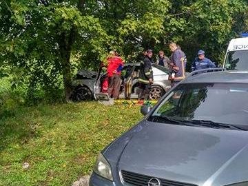 Аварія у Володимирі: автівка врізалась у дерево