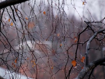 Погода в Луцьку та Волинській області на четвер, 30 листопада