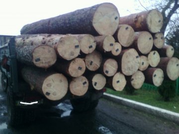 Лісова охорона затримала автівку з нелегальною деревиною 