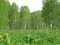 Волинський чиновник віддав фермеру 2 га землі зоологічного заказника 