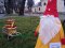 Знайшли святкову інсталяцію-гнома, яку нещодавно вкрали у Володимирі 