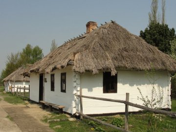 Для перекриття старовинної хати у волинському музеї заготовляють жито. ВІДЕО