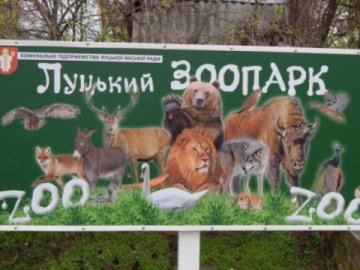 Лучан просять поділитись власними ретросвітлинами зоопарку в честь 40-річчя звіринця