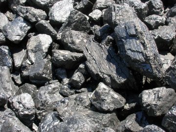 Підприємливий волинянин незаконно виготовляв деревне вугілля на Рівненщині 
