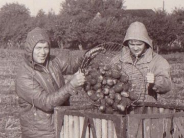 Студентський «Картопля-фест» на Волині 30 років тому