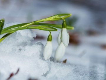 Погода в Луцьку та Волинській області на вівторок, 21 березня