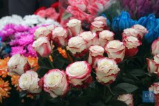 Тюльпани, котики, троянди: скільки володимирчани витратили на святкові букети