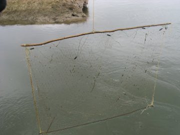 Оштрафували волинянина, який ловив рибу сіткою на річці 