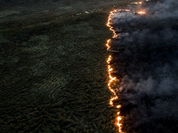 Наче апокаліпсис: показали моторошні фото після пожеж на Волині