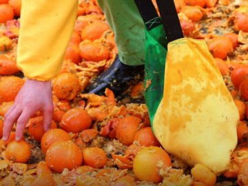 В Італії влаштували масову бійку апельсинами. ФОТО