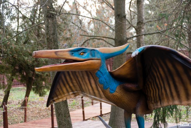 У Луцьку відкрили парк динозаврів. ФОТОРЕПОРТАЖ