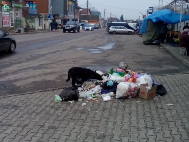 «Євросміття»: ковельський депутат показав купу відходів у центрі міста. ФОТО