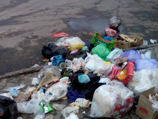 «Євросміття»: ковельський депутат показав купу відходів у центрі міста. ФОТО