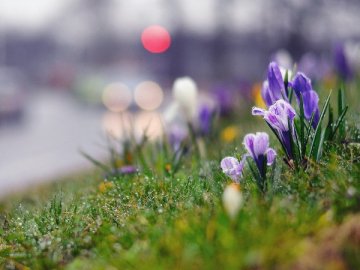 Погода в Луцьку та Волинській області на п’ятницю, 6 квітня