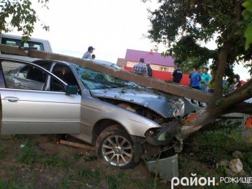 Аварія на Волині: BMW «змела» дерево, паркан та бетонний стовп